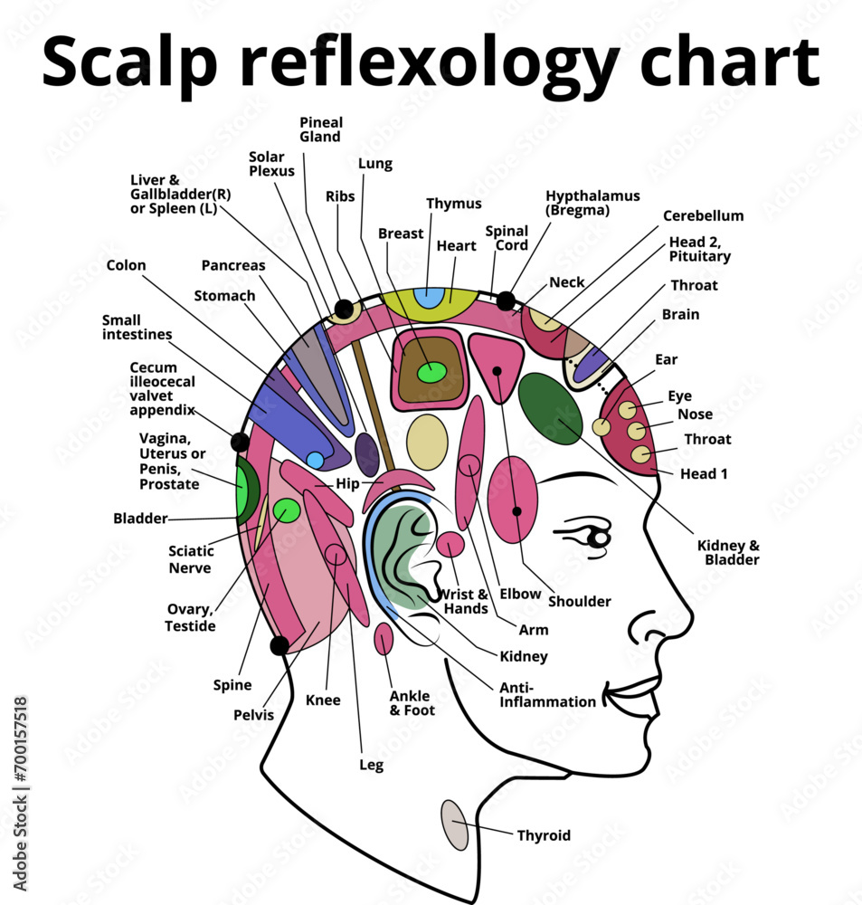 scalp reflexology chart